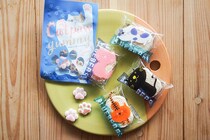 ネコ好きはカルディへ急げ！新商品が悶絶級のかわいさだった