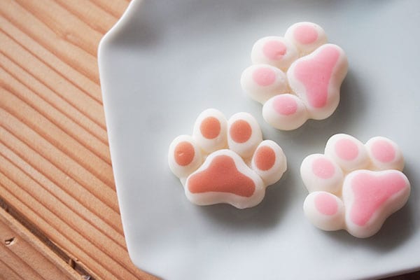 ネコ好きはカルディへ急げ!新商品が悶絶級のかわいさだった