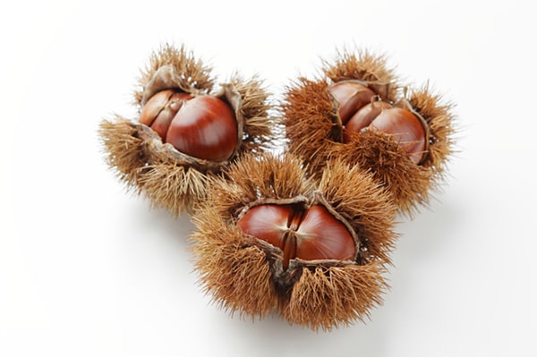 パスタ・グラタンetc…今が旬の「栗」を使ったレシピ3選