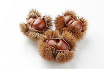 パスタ・グラタンetc…今が旬の「栗」を使ったレシピ3選