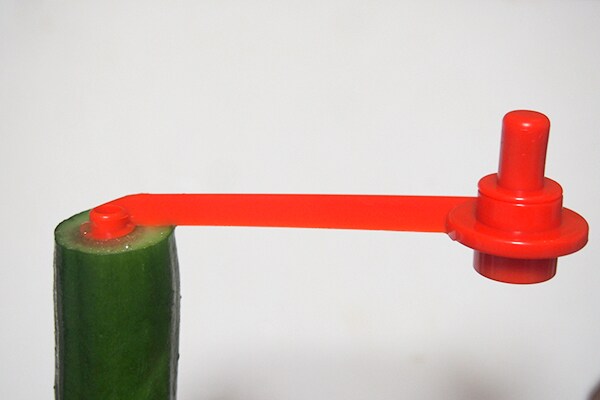 セリア「くるりんカッター」を使えばいつもの料理がランクアップ!