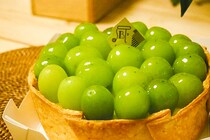 【PABLO】9月限定「シャインマスカットのタルト」が贅沢すぎる！
