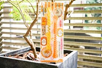 ダイソー「花卵コロン」 を使ってゆで卵の飾り切りに挑戦！