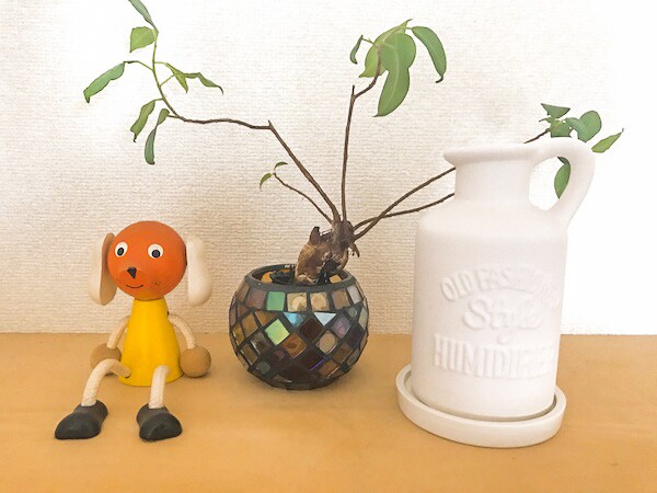 【待望】こんなの欲しかった！ニトリの「陶器加湿器」がおしゃれ＆エコ