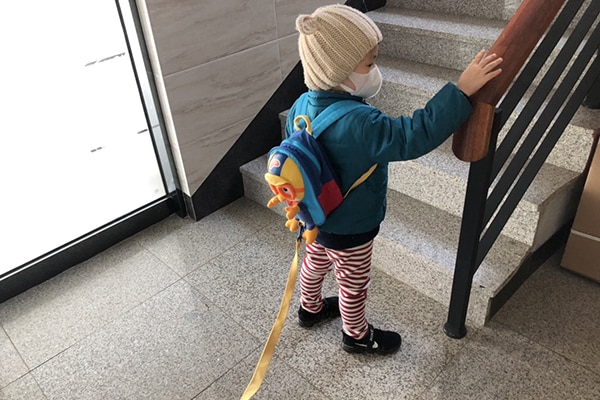 異論反論あるけど…子ども用ハーネスはどんな種類がある?