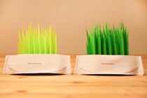 インテリアにもなるキャンドゥの「エコ加湿器」が話題！