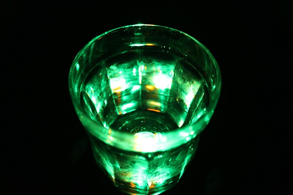 【癒し】ダイソー「パーティーコースター」が想像以上のクオリティ!