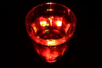 【癒し】ダイソー「パーティーコースター」が想像以上のクオリティ！