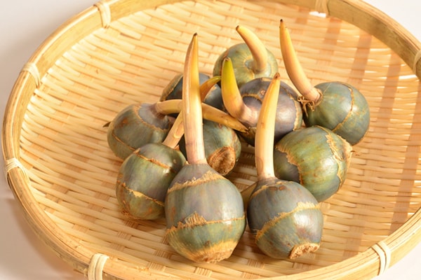 おせちだけじゃない! くわいのアレンジレシピ3選