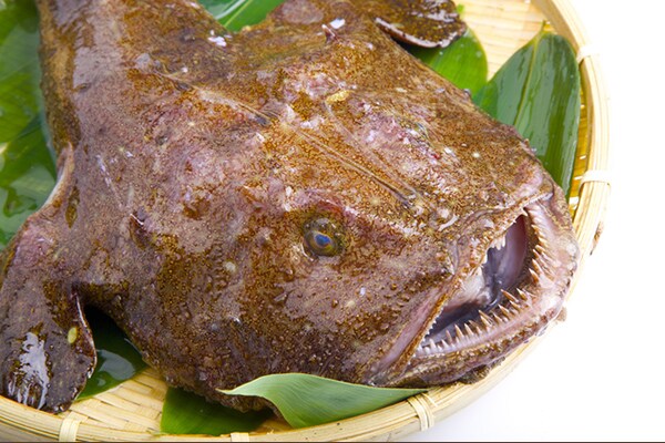 【3選】自宅で手軽にできる! 旬のあんこうレシピ