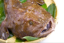 【3選】自宅で手軽にできる！　旬のあんこうレシピ