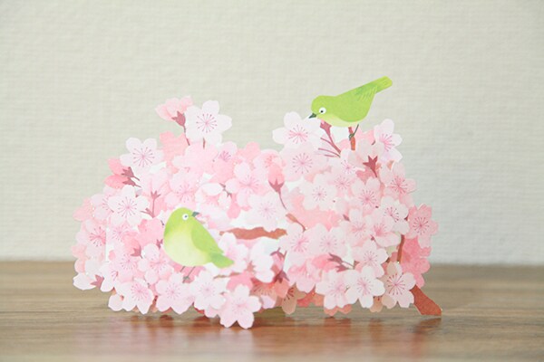 【春気分】サンリオのグリーティングカードで一足先にお花見♪