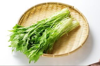 アレンジ自在！「水菜」活用レシピ3選