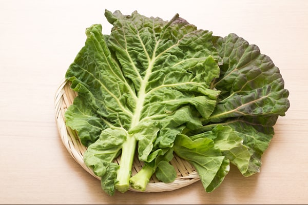 苦手克服!? おいしく食べられるケールのレシピ3選