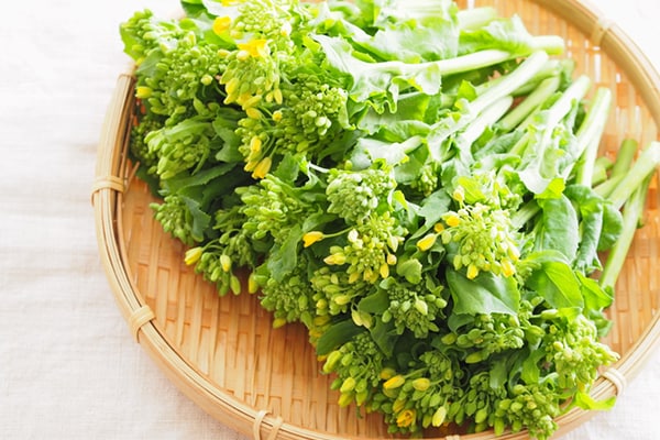 春を先取り！　菜の花を使った洋風レシピ3選