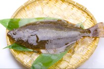 ふっくらおいしい！　旬のひらめのレシピ3選