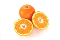 スイーツだけじゃない！香り際立つ「いよかん」の爽やかレシピ3選