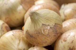 甘くておいしい♪新玉ねぎを丸ごと味わうレシピ3選