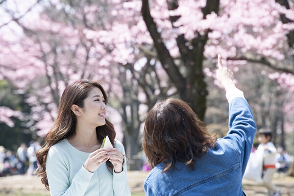 お花見の必須アイテム1位はやっぱり○○だった?