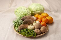 たけのこ・菜の花・春キャベツ…春が旬の食材といえば何？