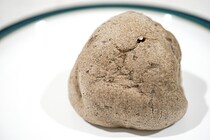 セブンの「もこ」シリーズ新作「クッキー＆クリーム」は歴代No.1のウマさかも