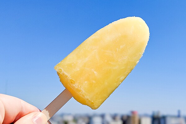 【レモン好き必見】本当にすっぱい「ガツン、と すっぱいレモン」