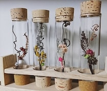 フラスコや試験管がインテリアに！　理系雑貨がかわいすぎる！