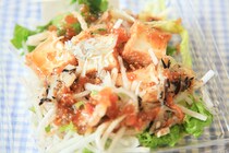 「厚揚げと瀬戸内海産しらすのサラダ」はおかずみたいな和風サラダ!?