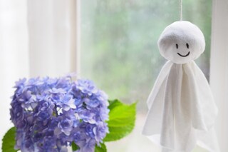 今読みたい！“梅雨”に役立つおすすめ記事4選