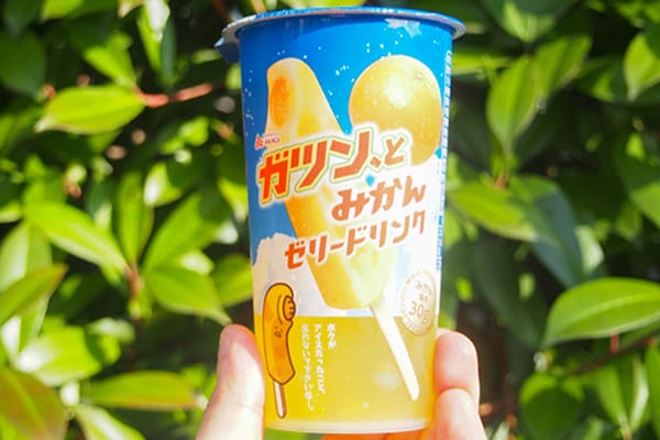 果肉入りで爽やか♪飲む「ガツン、とみかん」が登場したよ~!