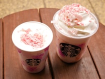 スタバ新作「さくらフル フラペチーノ®」と「さくらフル ミルク ラテ」で一足早い春を満喫！