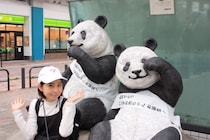 休日は疲れた心を癒す！　パンダを探しに上野へGO ！