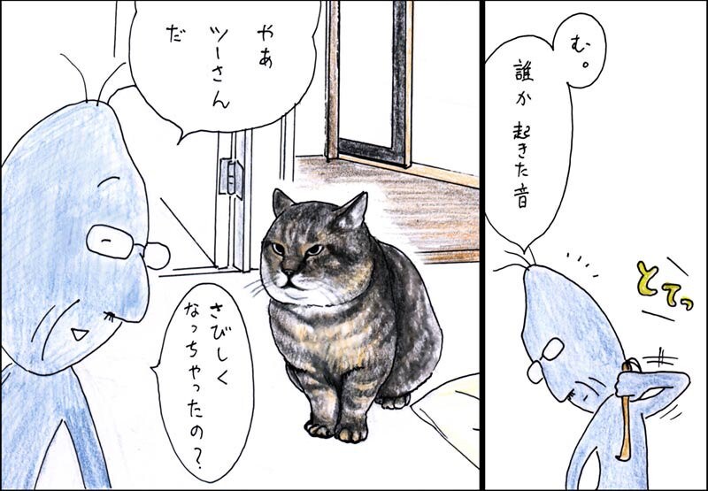 クセになるリアル・猫マンガ! Twitterで話題の「俺、つしま」の謎に迫る
