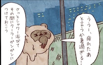 【たんたんたぬこ　40日目】くらくら