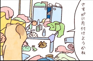 【たんたんたぬこ　41日目】あとかた