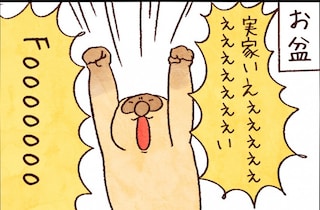 【たんたんたぬこ　42日目】きせい