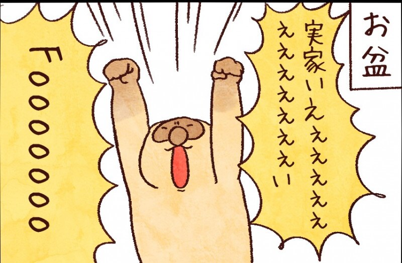 【たんたんたぬこ 42日目】きせい