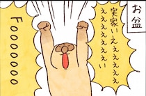 【たんたんたぬこ　42日目】きせい