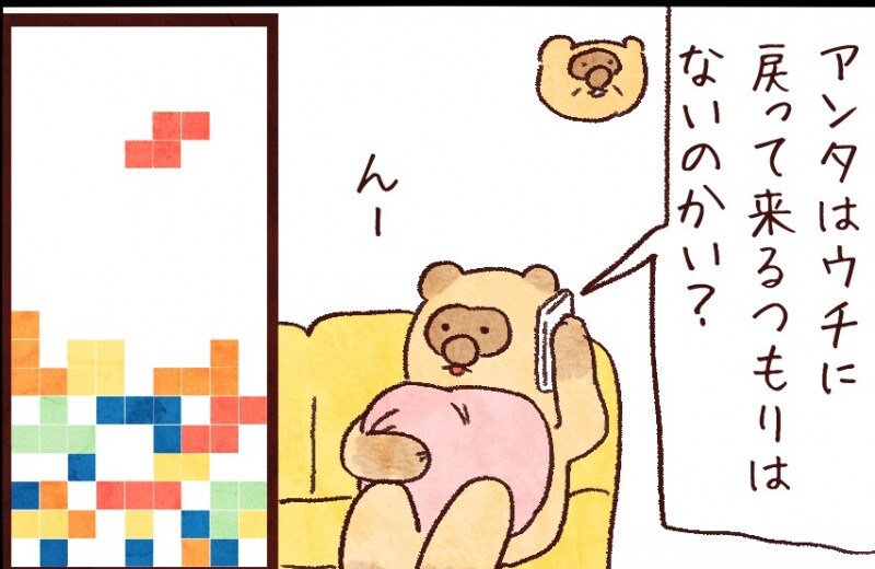【たんたんたぬこ　46日目】ぶろっく