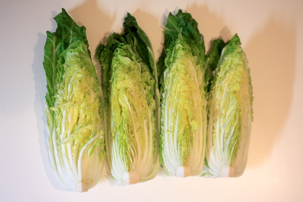 旬の白菜をまるまるっと! 4つのレシピで使い切り