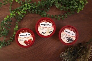 冷蔵庫で寝かすだけ！　ハーゲンダッツのアイスが“ふわとろ”に