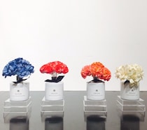 1ヶ月頑張ったワタシに、リッチな香りのご褒美アイテムを。