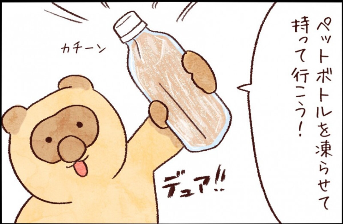 【たんたんたぬこ　39日目】こおちゃ