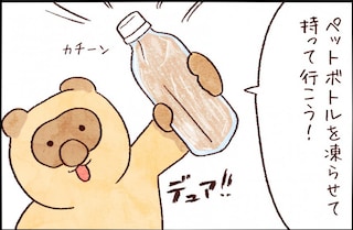 【たんたんたぬこ　39日目】こおちゃ