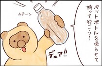 【たんたんたぬこ　39日目】こおちゃ