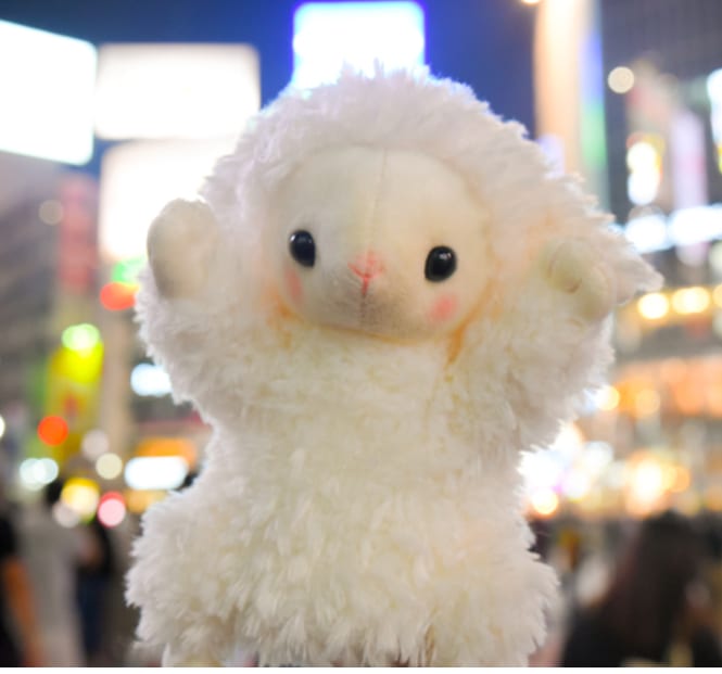 ヒツジ