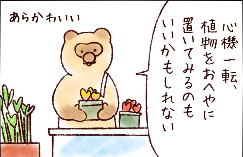 【たんたんたぬこ　24日目】おはなやさん