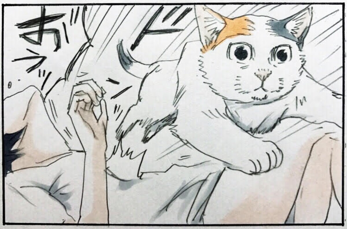 猫好き共感の嵐！　飼い猫の行動を描いたにごたろさんのマンガをチェック