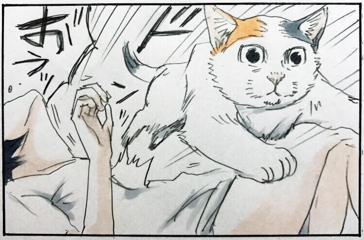 猫好き共感の嵐！　飼い猫の行動を描いたにごたろさんのマンガをチェック