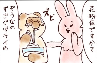 【たんたんたぬこ　20日目】かふんしょう